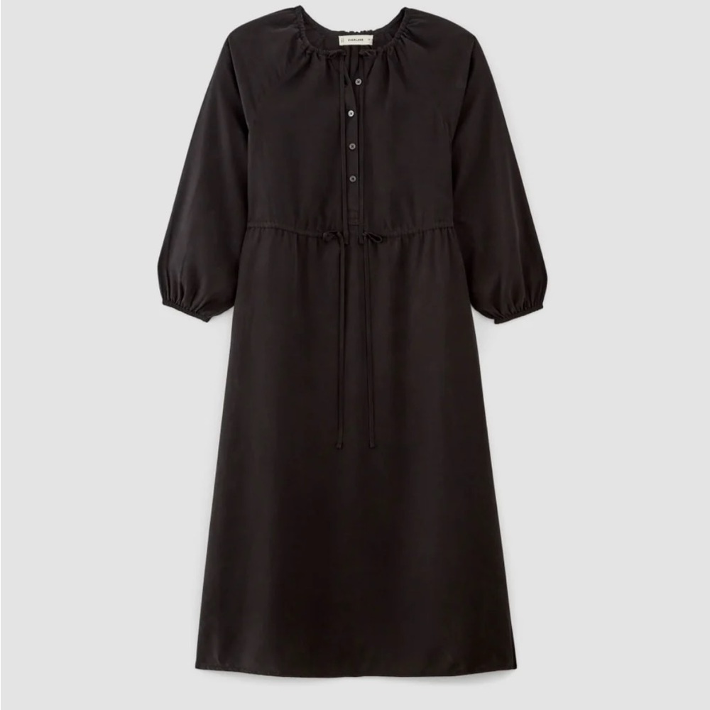 Everlane black maxi dress Tencel long sleeve flowy minimalist oversized XXS new